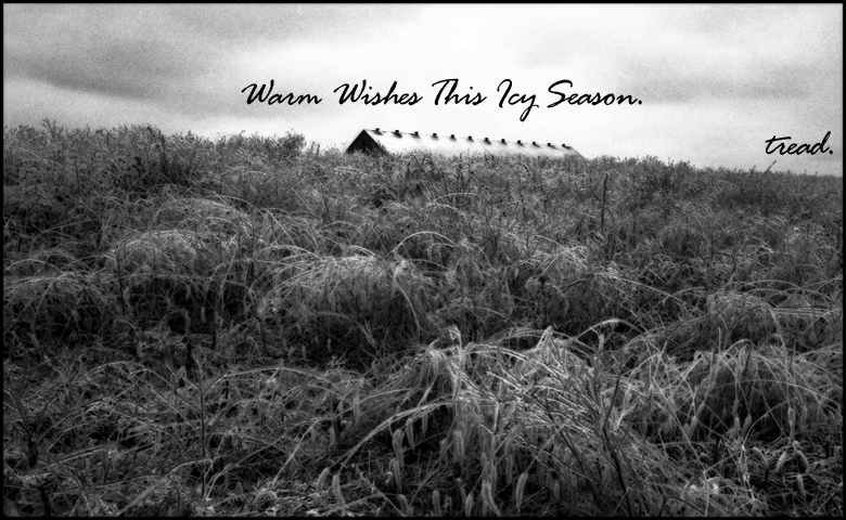 12 days of Xmas-Day6