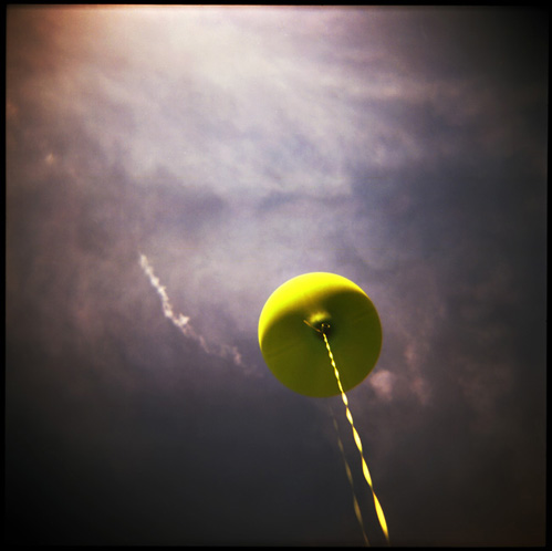 gotreadgo fotographie--scroll right.