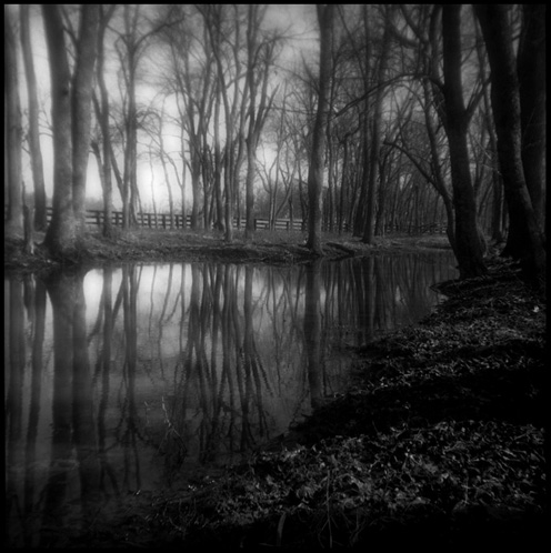 gotreadgo fotographie--scroll right.