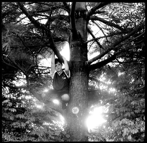 gotreadgo fotographie--scroll right.