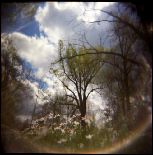 gotreadgo fotographie--scroll right.