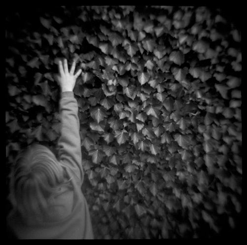 gotreadgo fotographie--scroll right.