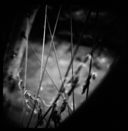 gotreadgo fotographie--scroll right.