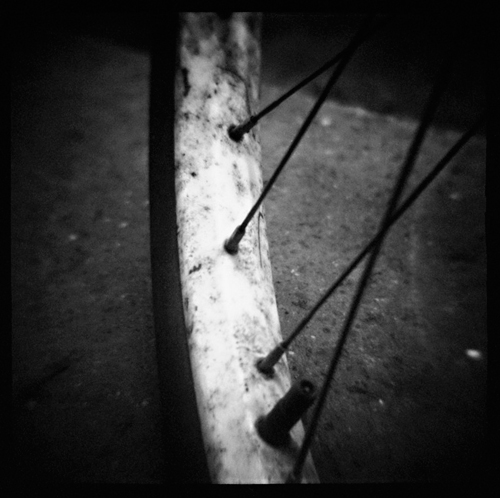 gotreadgo fotographie--scroll right.