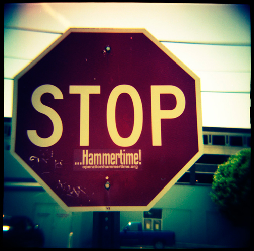 gotreadgo fotographie--scroll right.