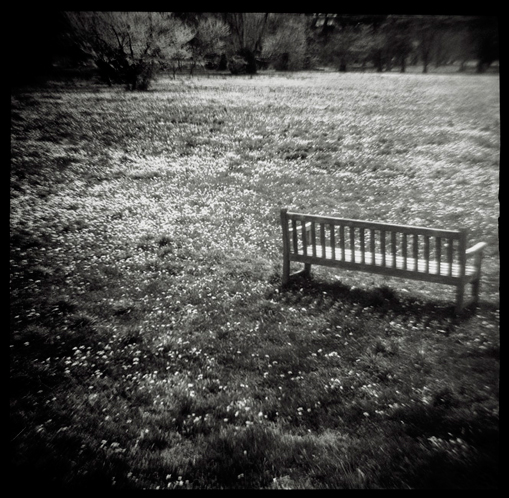 gotreadgo fotographie--scroll right.