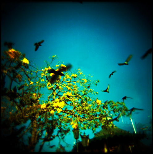 gotreadgo fotographie--scroll right.