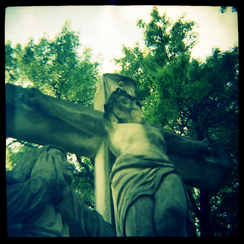 gotreadgo fotographie--scroll right.