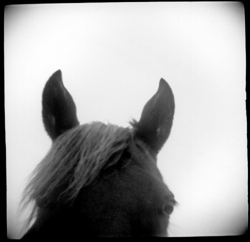 gotreadgo fotographie--scroll right.