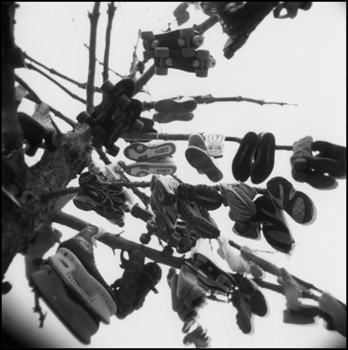 gotreadgo fotographie--scroll right.