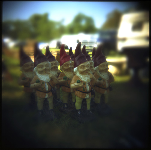 gotreadgo fotographie--scroll right.