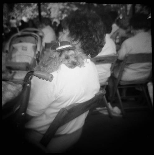 gotreadgo fotographie--scroll right.