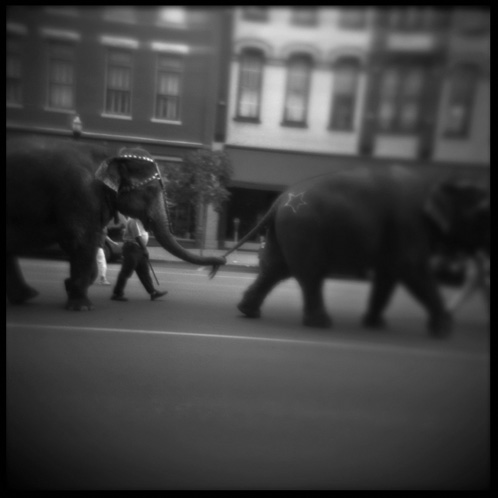 gotreadgo fotographie--scroll right.