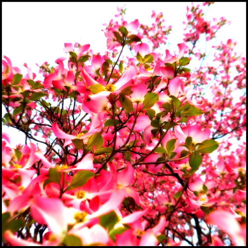 gotreadgo fotographie--scroll right.