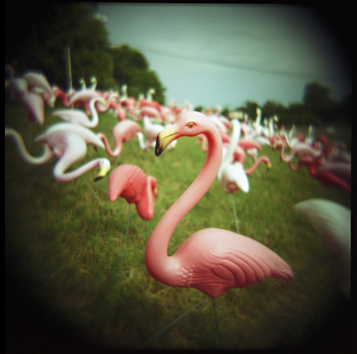 gotreadgo fotographie--scroll right.