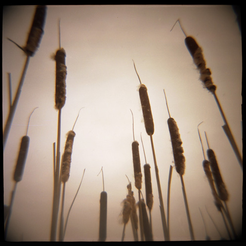 gotreadgo fotographie--scroll right.